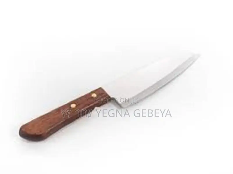 Kitchen Chef Knife 10 Inch Cooking Knife Stainless Steel