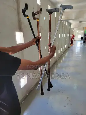 Photo - Walking Stick