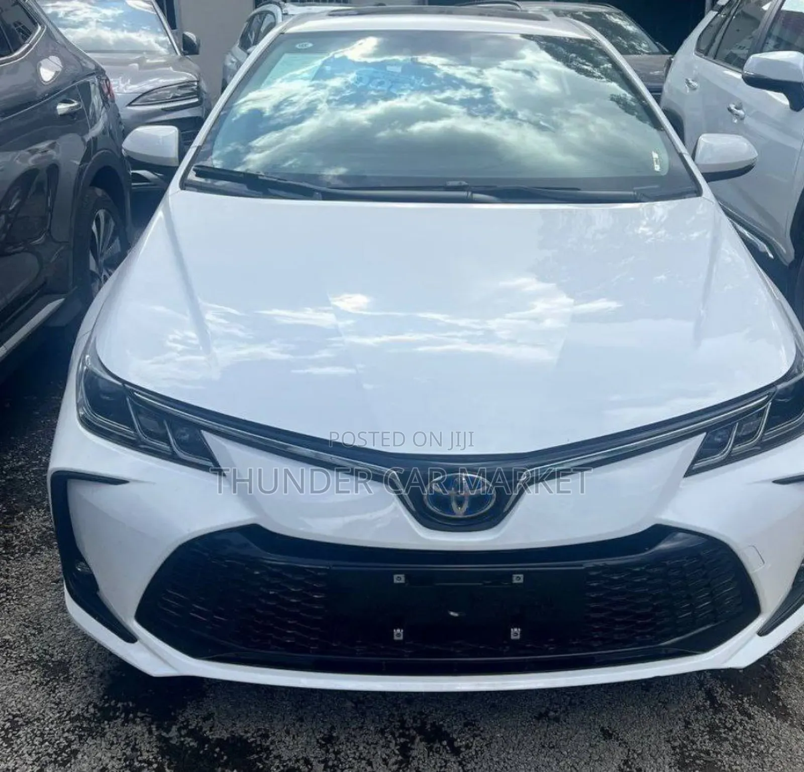 New Toyota Corolla 2024 White