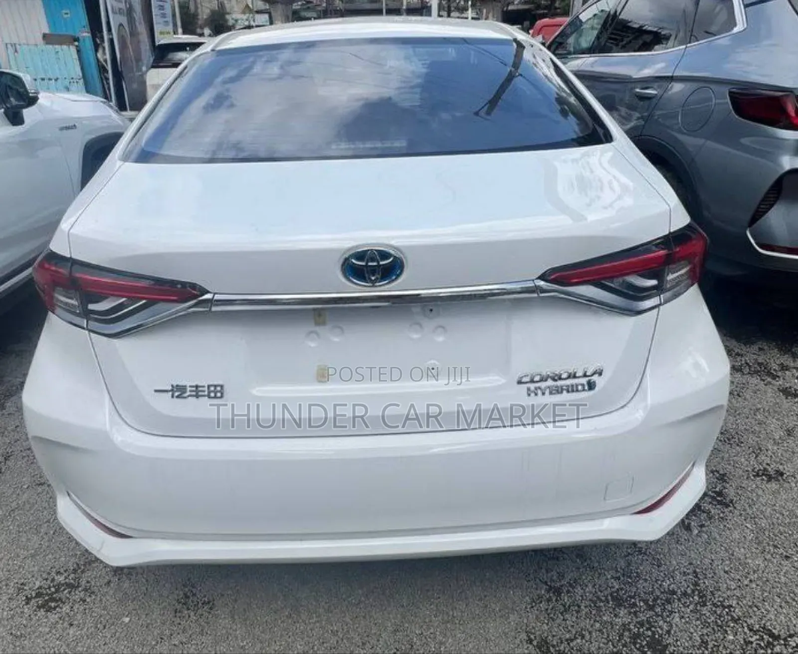 New Toyota Corolla 2024 White