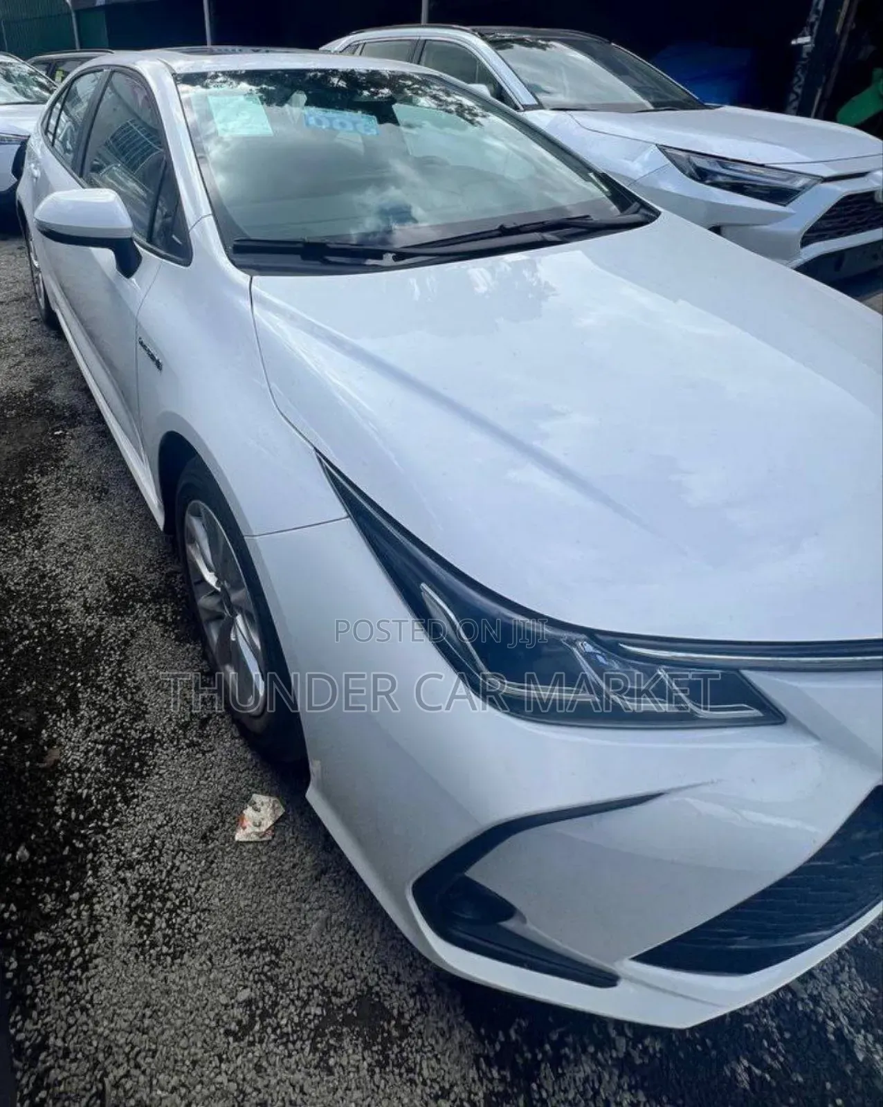 New Toyota Corolla 2024 White