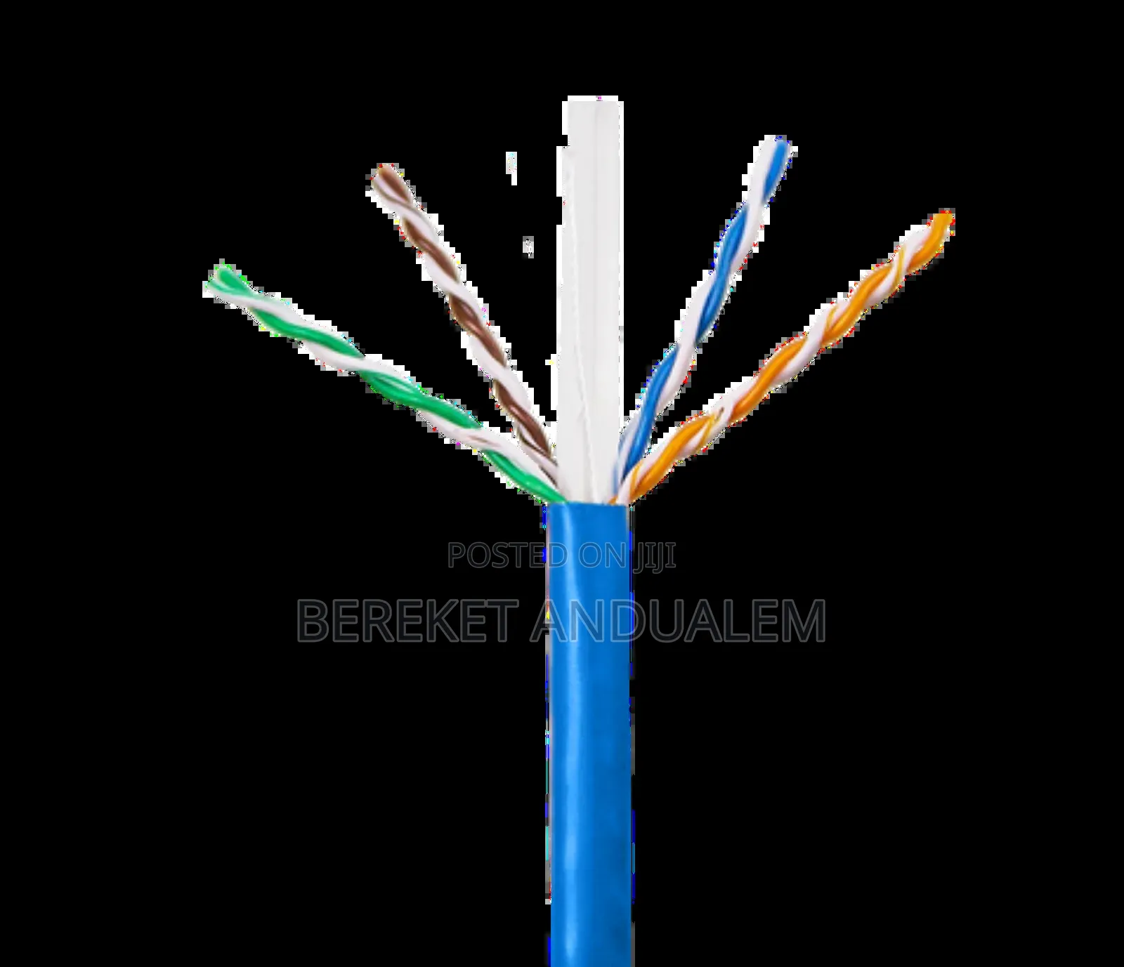 Internet Cable (Cat 6)