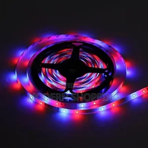 High-Tech Durable 5m LED Strip With RGB Options