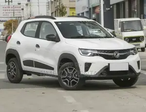 Photo - New Dongfeng EV EX1 33 kW FWD 2023 White