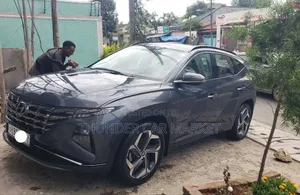 Hyundai Tucson 2021 Gray
