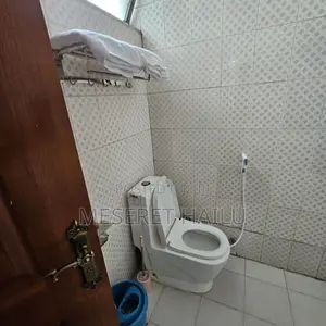 Furnished 1bdrm Apartment in 22, Bole for rent