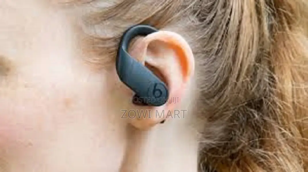 Beats Powerbeats Pro Bluetooth True Wireless Earbuds