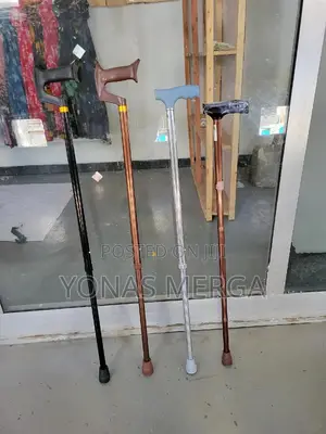 Photo - Walking Stick