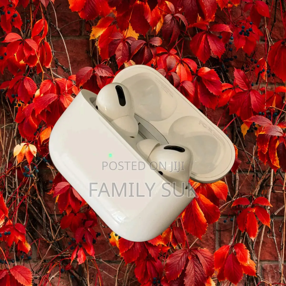 Airpod Pro Earbud Perfect for Audiophiles Everywhere