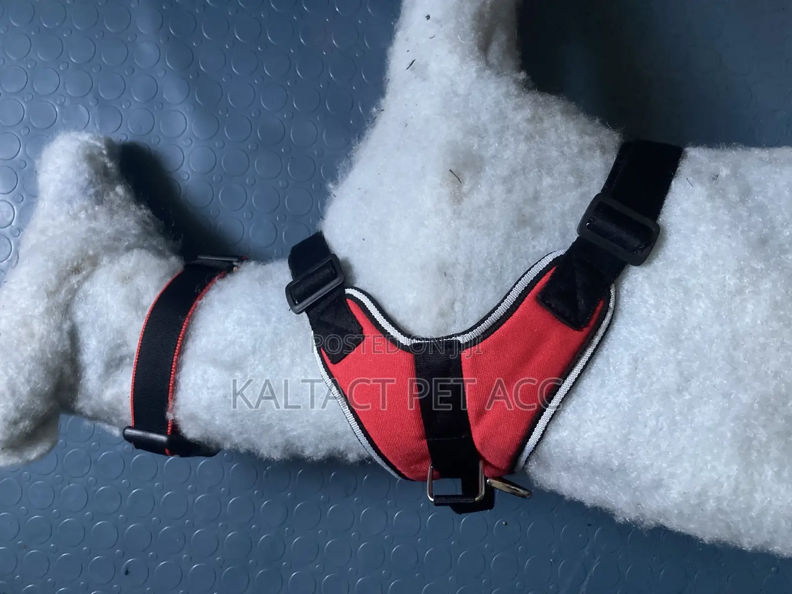 Sadle Dog Harness