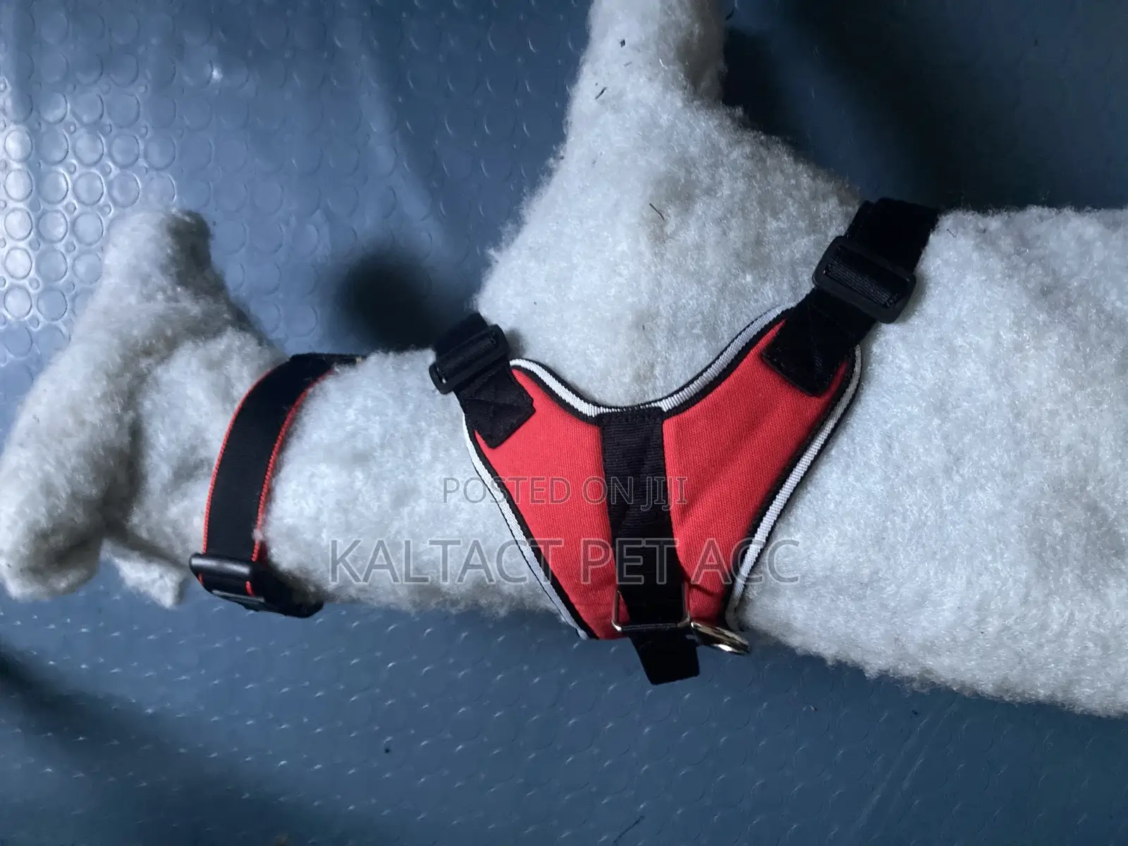Sadle Dog Harness