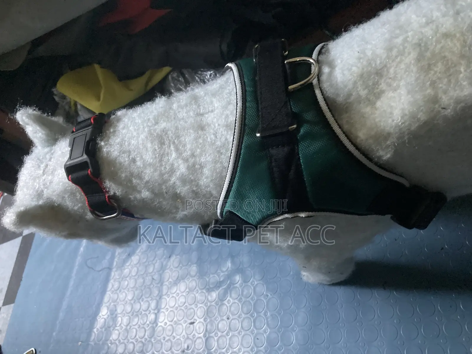 Sadle Dog Harness