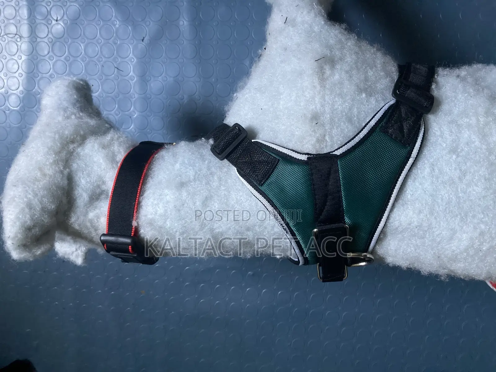 Sadle Dog Harness