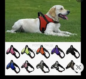 Saddle Dog Harnesses