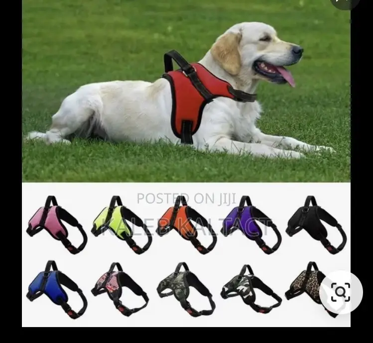 Saddle Dog Harnesses