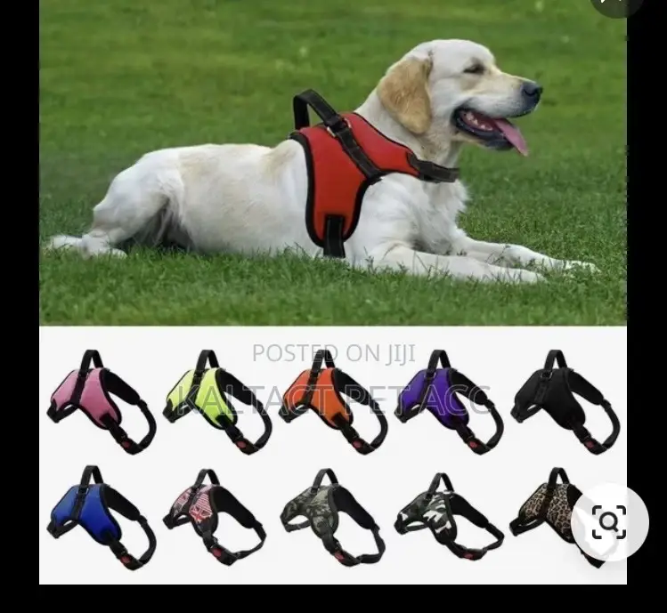 Saddle Dog Harnesses