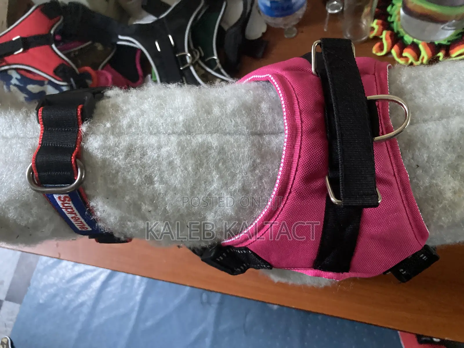 Saddle Dog Harnesses