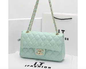 Sophisticated Handbag With Stunning Details