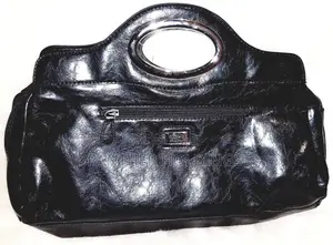 Photo - Nicole Handbag