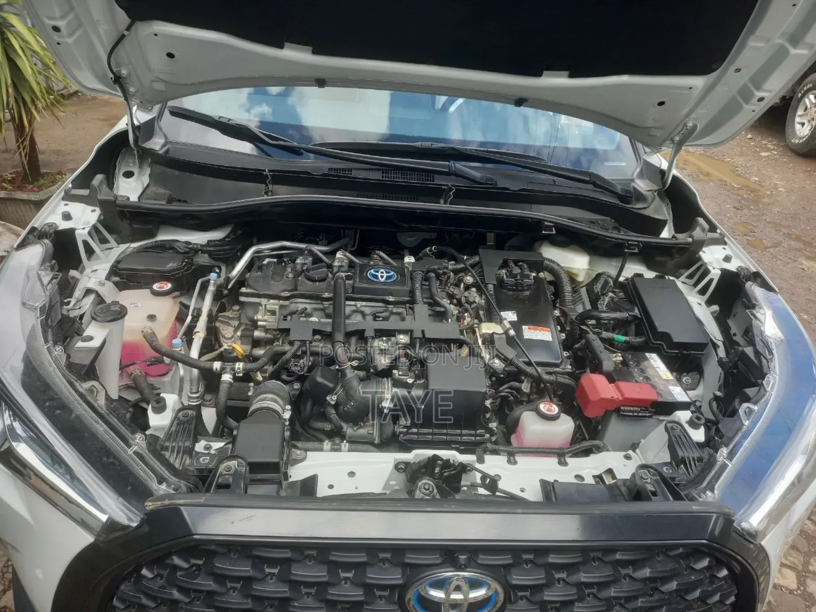 New Toyota Corolla Cross 2023 White