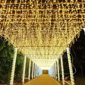 Photo - Christmas Light 3 Meter