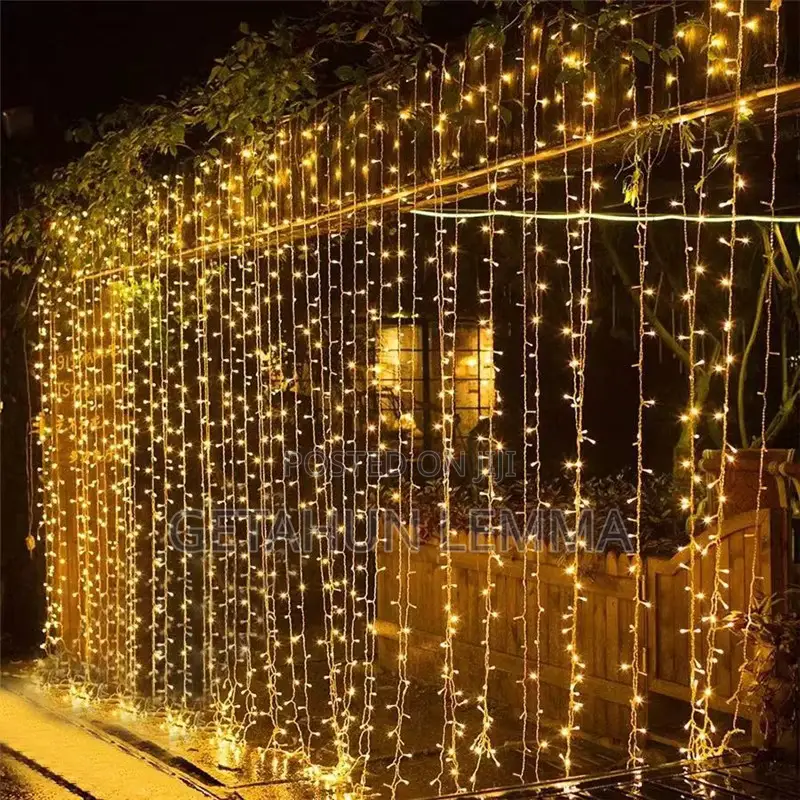 Christmas Light 3 by 3 Meter