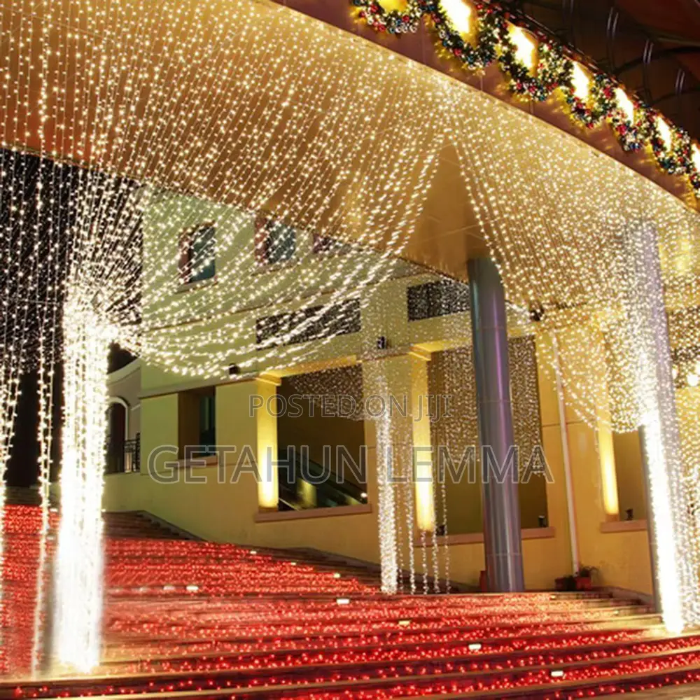 Christmas Light 3 by 3 Meter