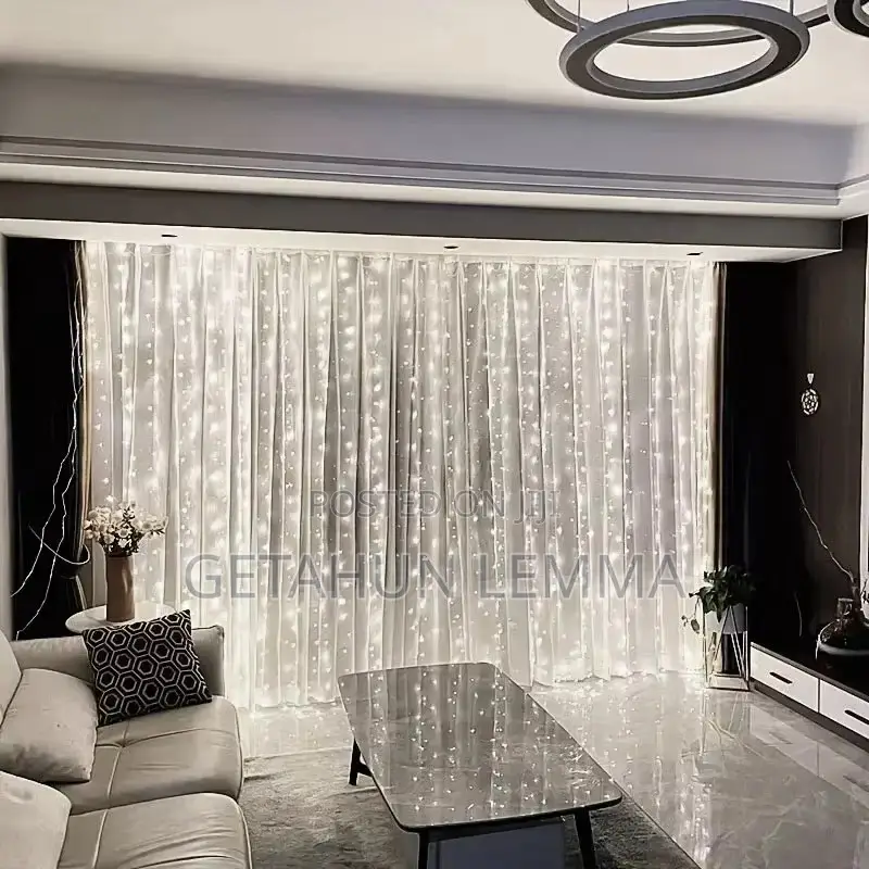 Christmas Light 3 by 3 Meter