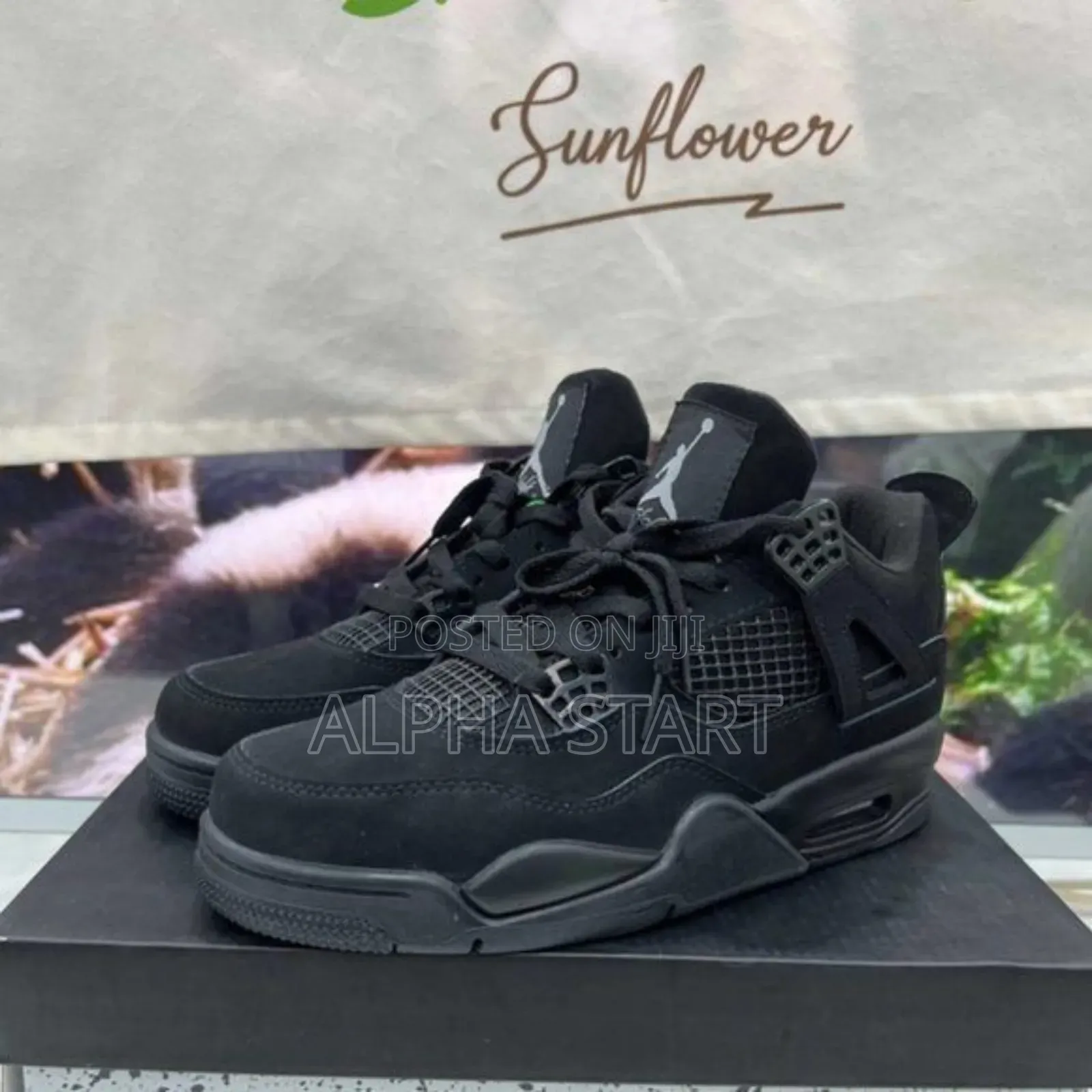 Air Jordan 4 Blak Cat Master Quality Shoes for You