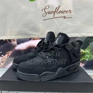 Photo - Air Jordan 4 Blak Cat Master Quality Shoes for You