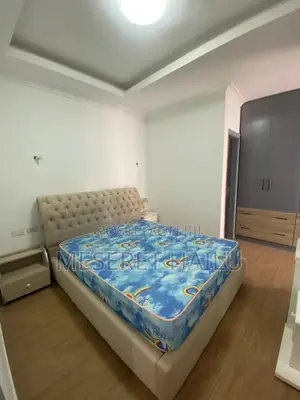 Furnished 2bdrm Apartment in Bole Bolbula for rent