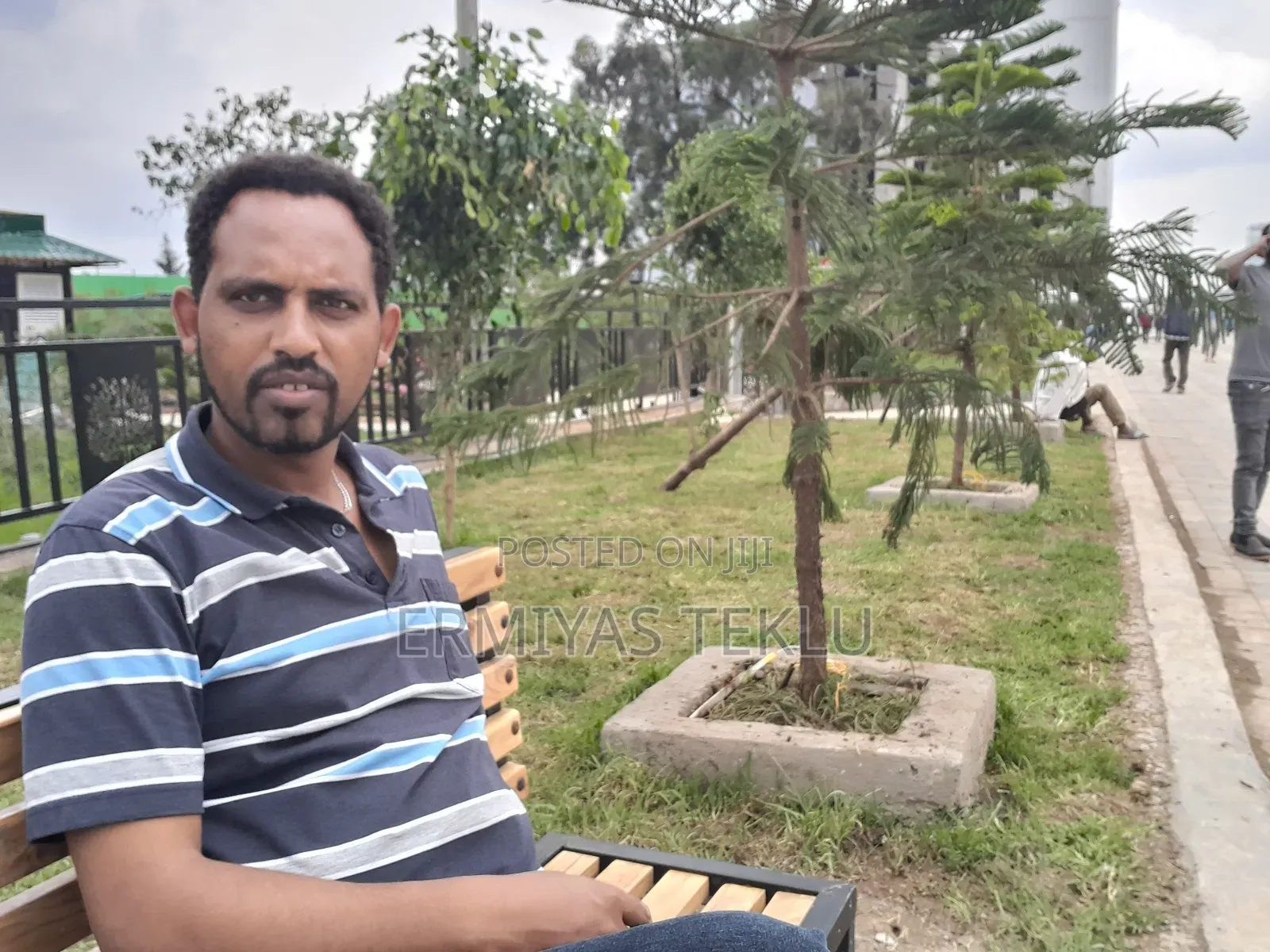 Driver Auto Taxi 2 Public 1 Driving License