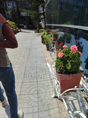 Photo - 1bdrm Apartment in Studio Apartment For, Bole for rent