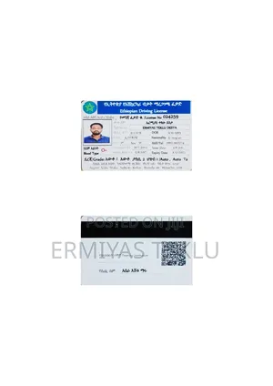 Auto Taxi 2 Public 1 Driving License