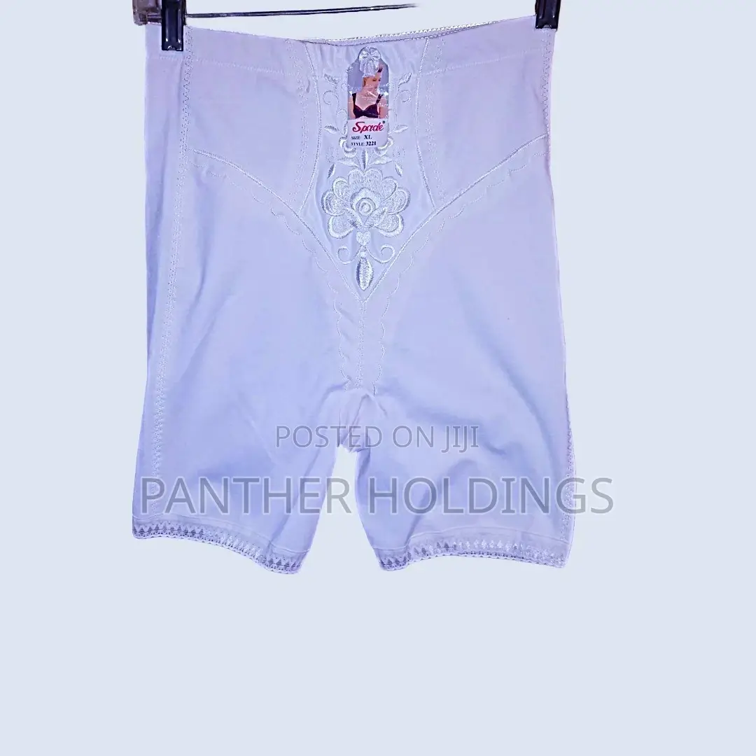 Instant Shaping By Plusform Hi-waist Lace Brief And Underwear