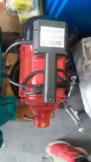 Electric Vibrator Motor