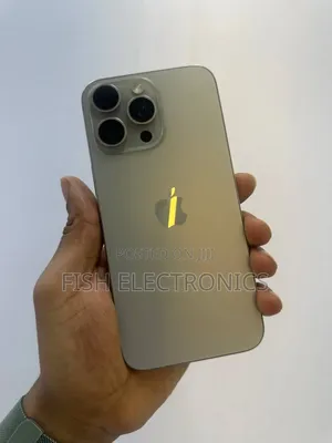 Apple iPhone 15 Pro Max 256 GB Gray