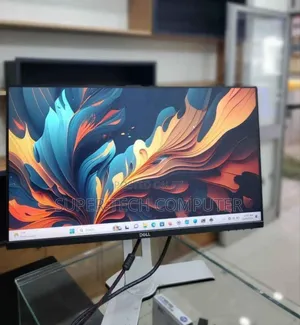 Dell 24 Inch Frameless Monitor