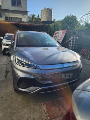 Photo - New BYD Yuan Up 45 kWh FWD 2024 Gray