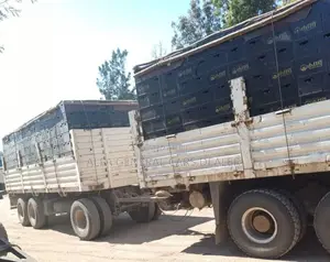 2017 Iveco Kene Tesabew