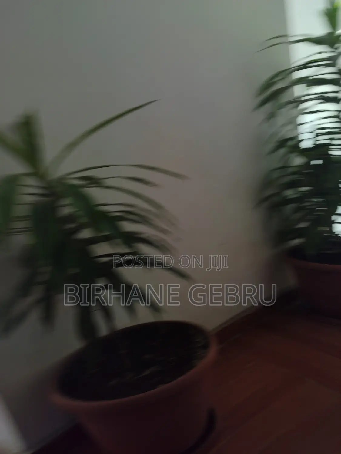 Studio Apartment for Rent