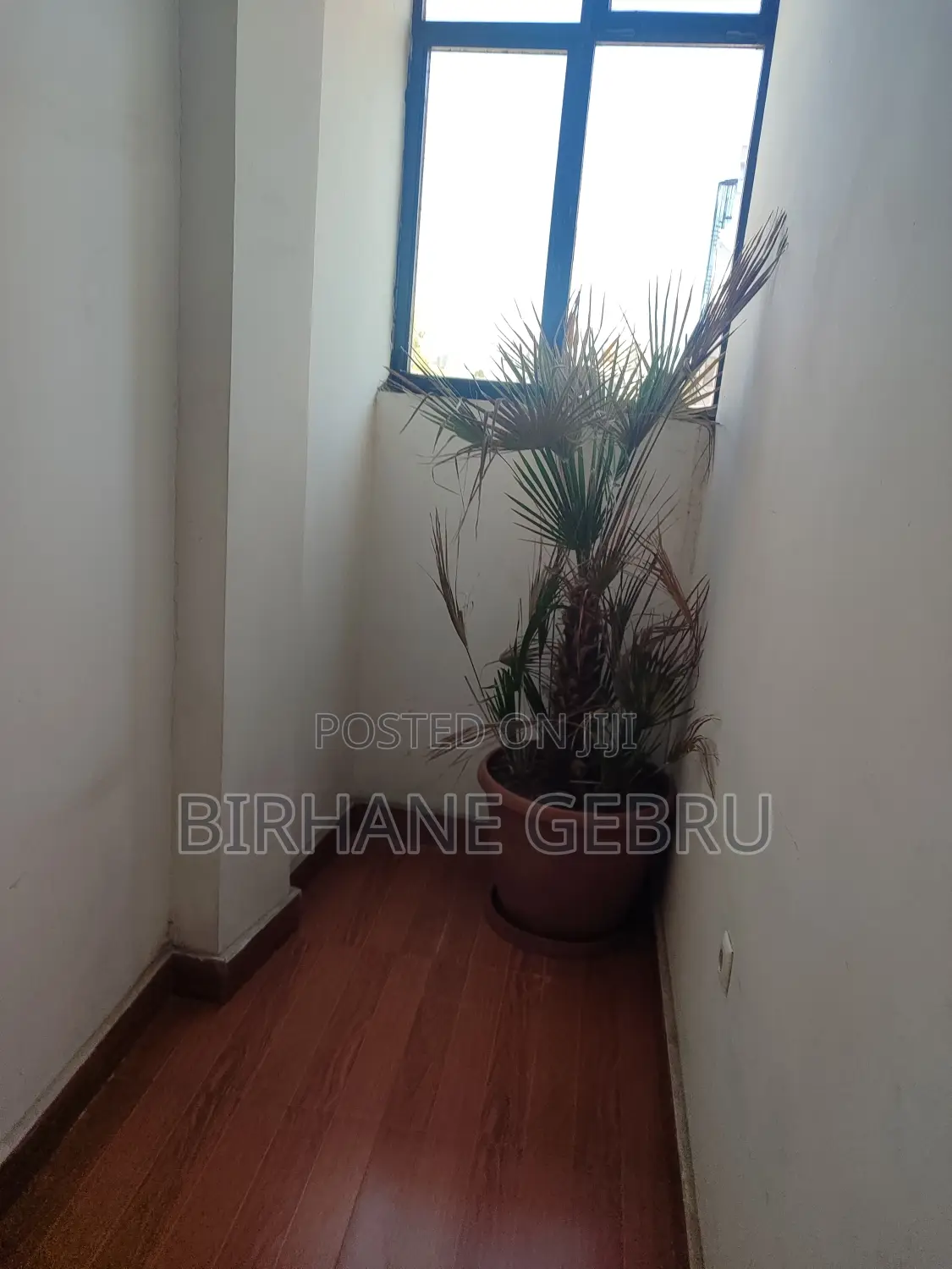 Studio Apartment for Rent