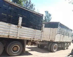 Iveco. Trucker. Kena Tesabi