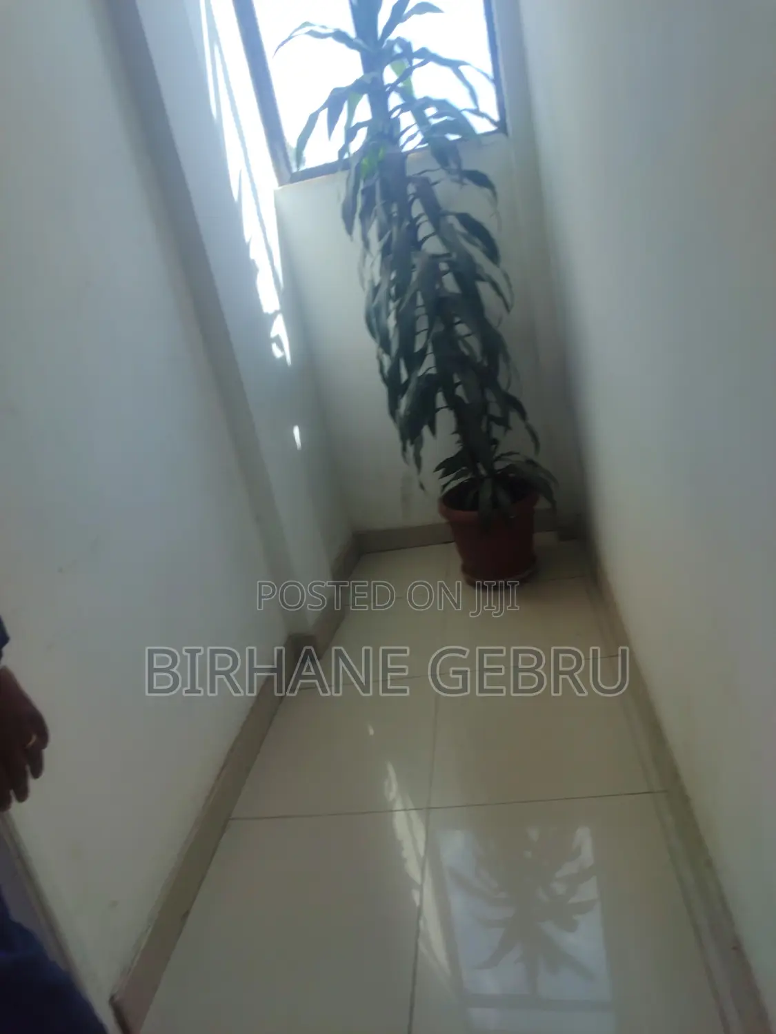 G+4 House Rent for Business or Living