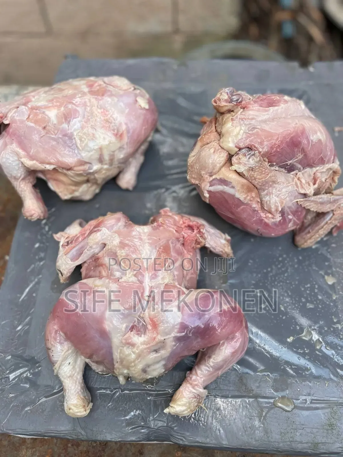 Full Chicken for Your Pets