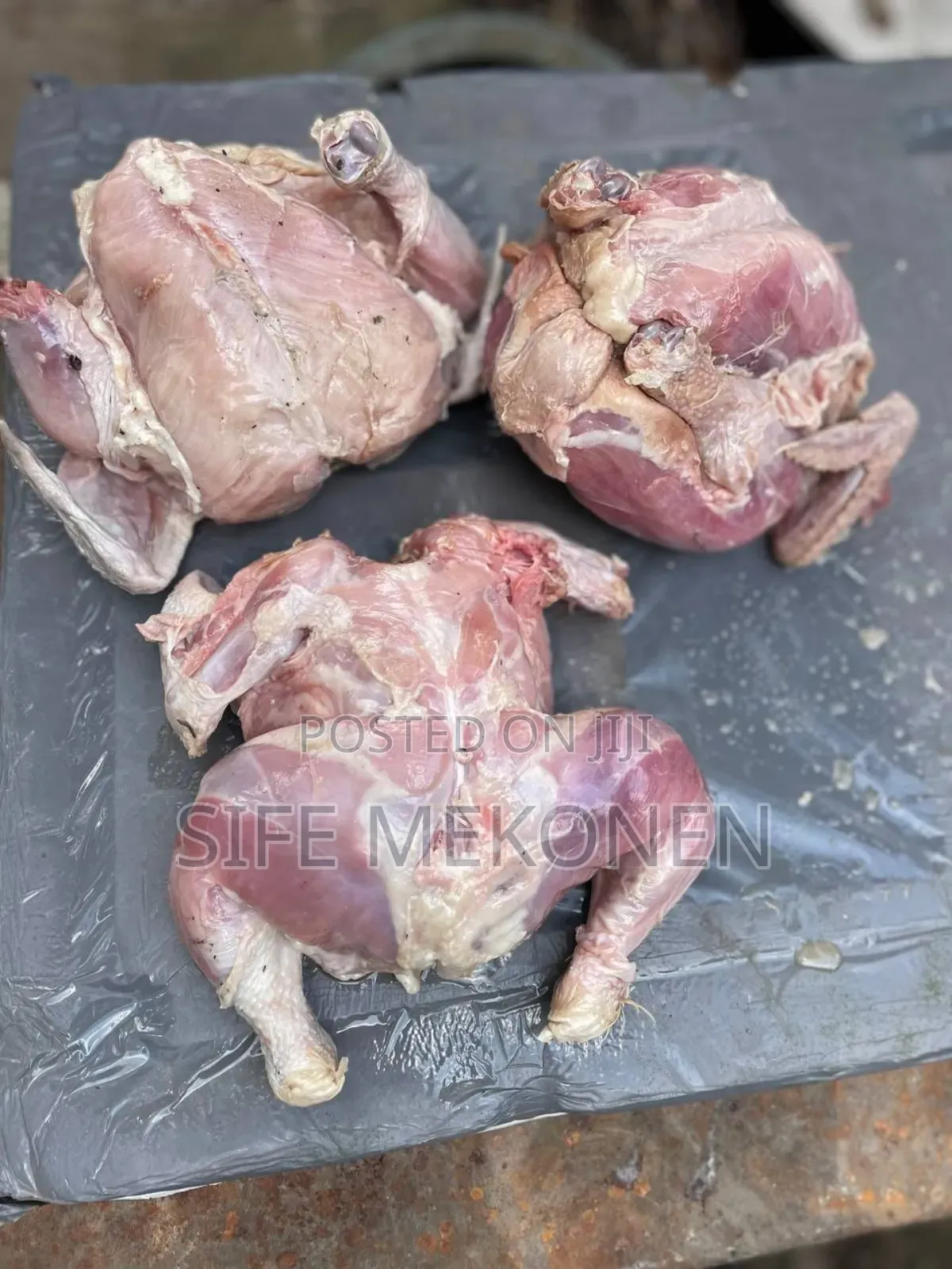 Full Chicken for Your Pets