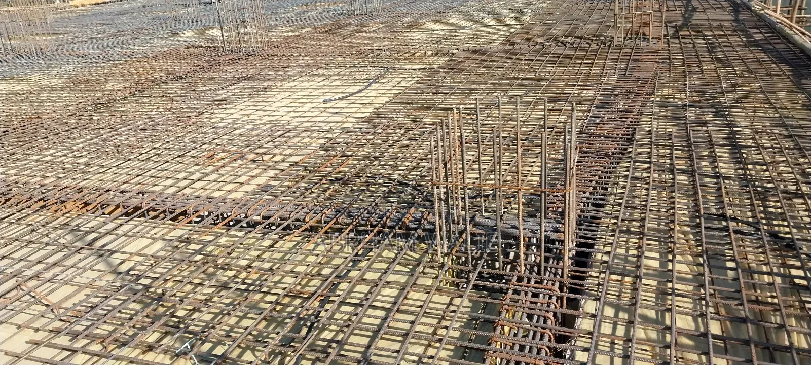 Building Construction Worker and Contractor