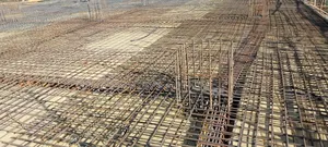 Building Construction Worker and Contractor