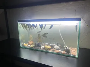 Aquarium የዓሳ ቤት ከነ ሙሉ እቃው እንሰራለን