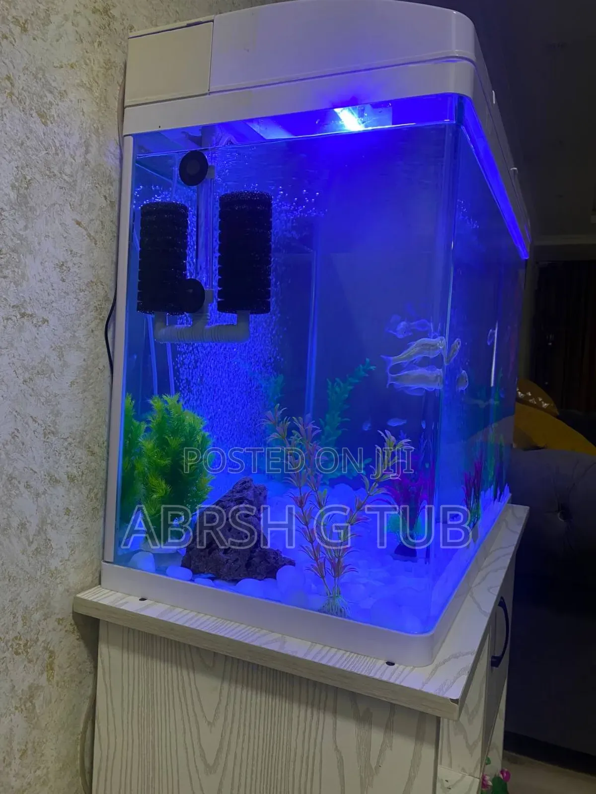 Aquarium የዓሳ ቤት ከነ ሙሉ እቃው እንሰራለን